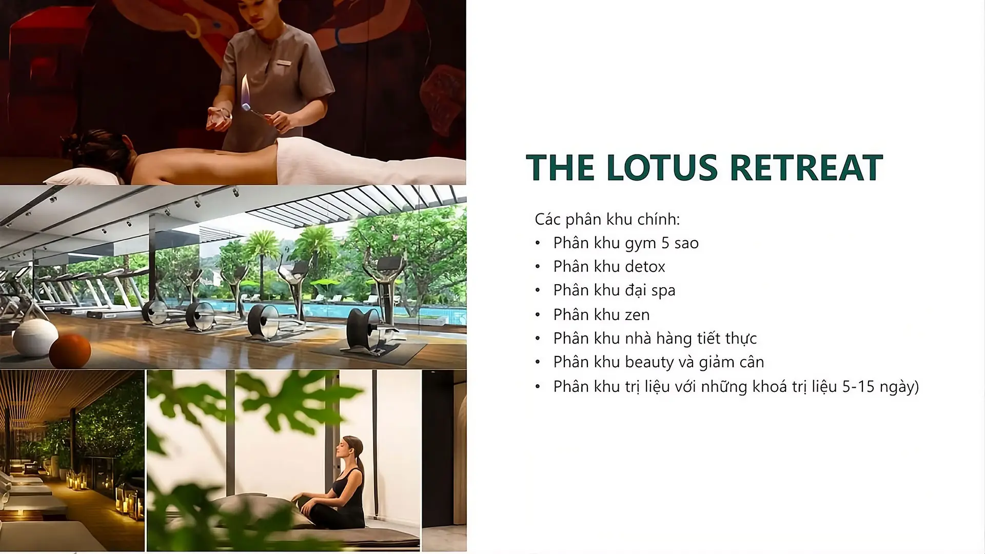 Các phân khu chính tại The Lotus Retreat Center